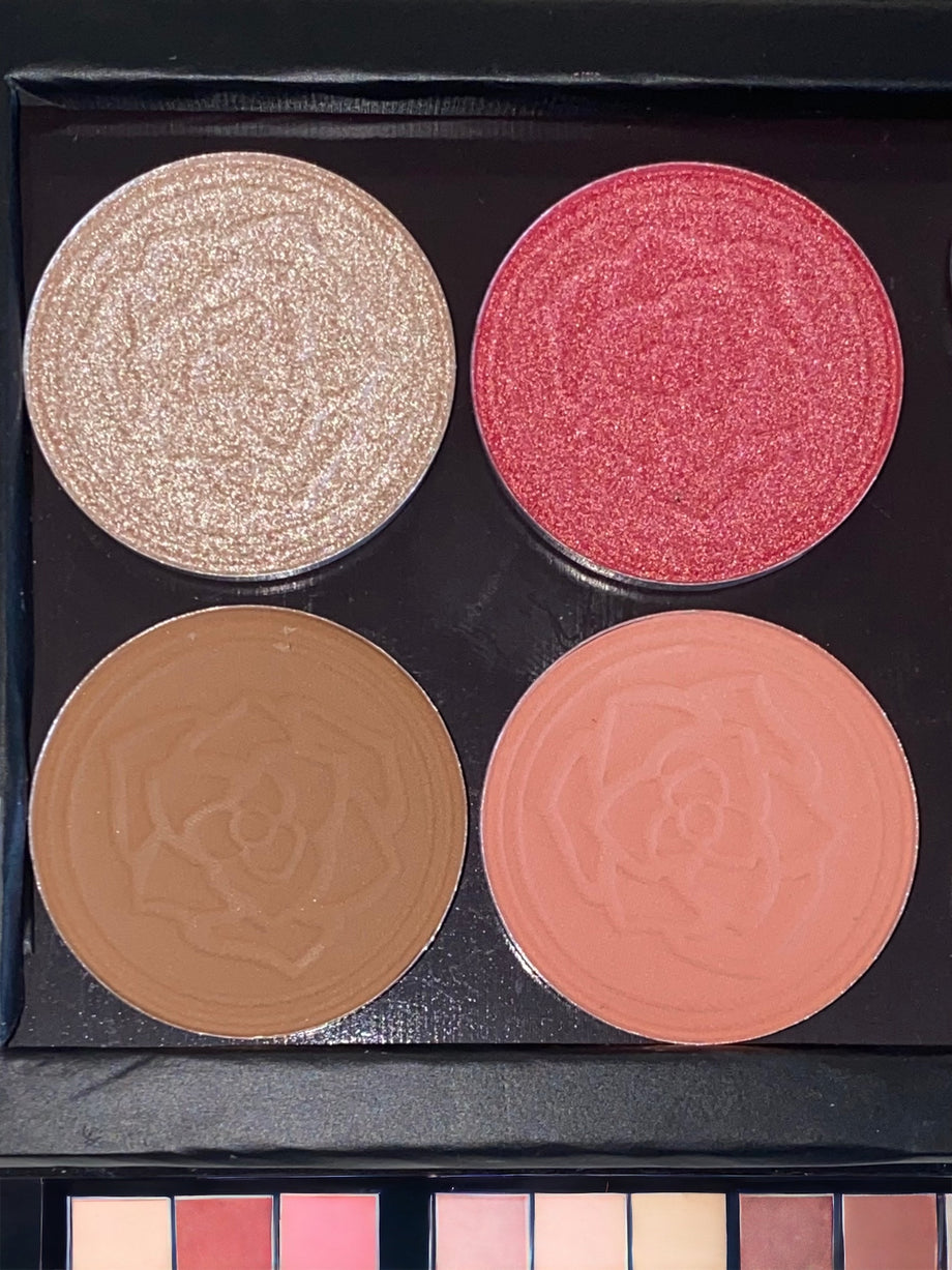 Facemaster Collection Travel FaceMaster Palette – GabyRos