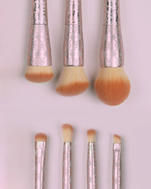 Pink Carrousel 🎠 Brush Set